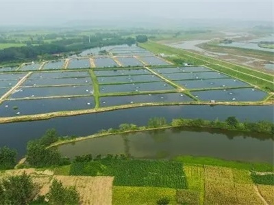 水產養殖工程案例分析
